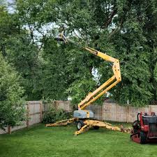 Best Utility Line Clearance  in Gloversville, NY