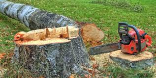 Best Emergency Tree Removal  in Gloversville, NY
