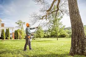 Best Tree Cabling and Bracing  in Gloversville, NY