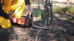 Best Lawn Mowing  in Gloversville, NY